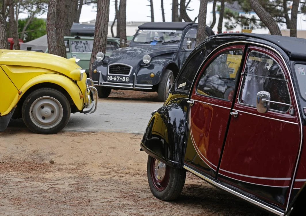 Cars are are parked at a camping site in Ericeira during the World 2017 2CV Meeting July 30, 2017. The event is held between the 26th and the 31st of July 2017, 30 years after Portugal hosted the seventh 2CV World Meeting in 1987, and will include activities ranging from an open air fair, a competition to disassemble and reassemble, an "elegance" contest for original and modofied 2CV's, a chimes concert, to a short term 2CV museum hosted by the Marfa national palace featuring vehicles from the Citroen Heritage collection purposely brought from Paris. / AFP / JOSE MANUEL RIBEIRO