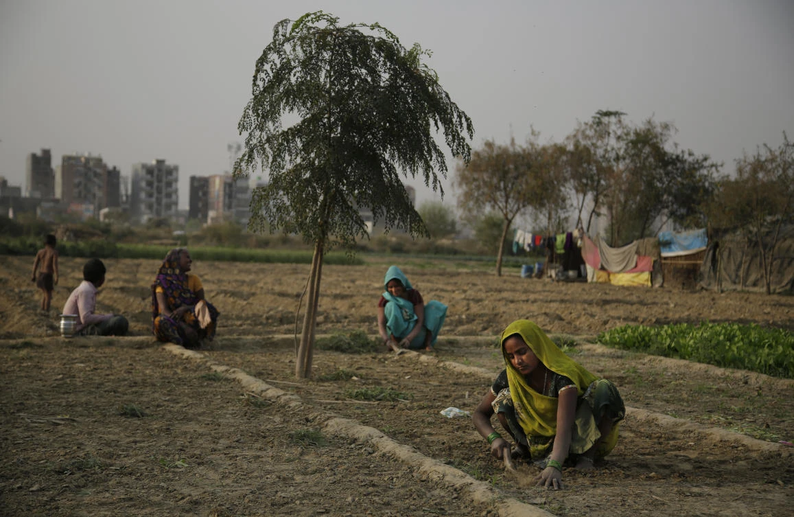 FILE- In this March 7, 2017 file photo, Indian women farmers work in their farm on the eve of International Women's Day on the outskirts of New Delhi, India. Researchers report a link between crop-damaging temperatures and suicide rates in India, where more than 130,000 farmers end their lives every year. (AP Photo/Altaf Qadri, File)