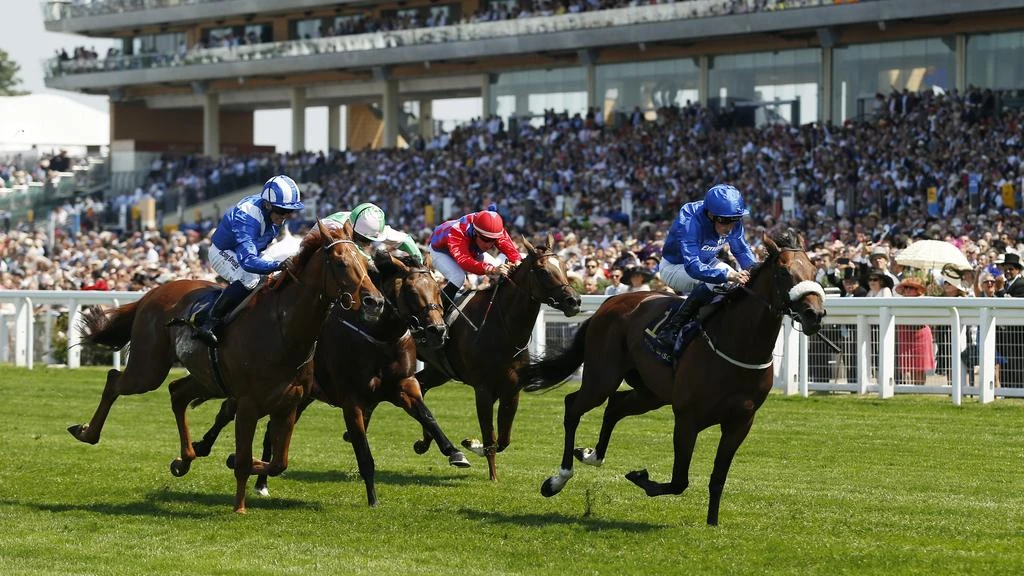 Godolphin’s Ribchester all set for showdown with Churchill at Glorious Goodwood