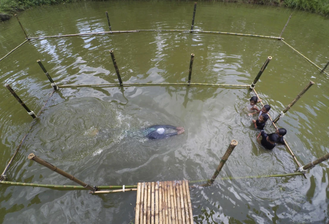 In this July 14, 2017 photo, a Bangladeshi trainer shows a swimming technique, as children watch during a swimming training session at a pond in the Shishu Polli Plus area in Sreepur village, near Dhaka, Bangladesh. Drowning is a major cause of death among youngsters in Bangladesh, claiming up to 18,000 children under the age of 18 every year, and 43 percent of deaths among children under 5, according to a 2011 government survey. A British charity has partnered with a Bangladeshi research group to offer swimming lessons in this central Bangladeshi farming village for children from poor, rural families. (AP Photo/A.M. Ahad)