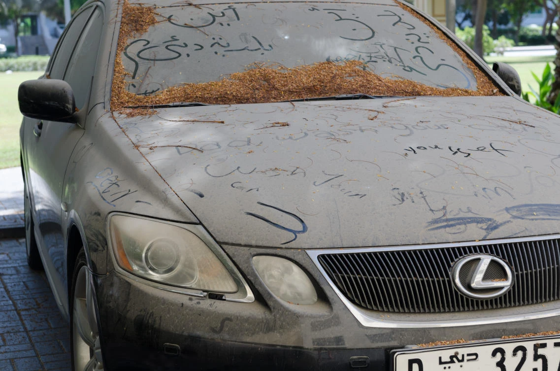 The writing’s on the car: "Where is Dubai Municipality?" Someone has written in Arabic in the dirt, clearly unaware of the clampdown (Shutterstock)