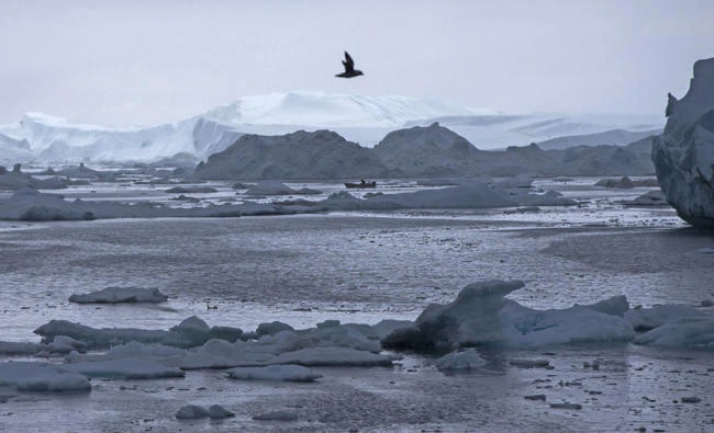In this June 17, 2016 file-pool photo, a fisherman drives a boat during then-Secretary of State John Kerry's tour of the Jakobshavn Glacier and the Ilulissat Icefjord, located near the Arctic Circle in Ilulissat, Greenland. (AP Photo/Evan Vucci, Pool, File)