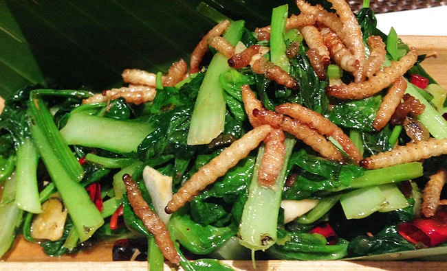 Bugs on the menu at Swiss supermarket