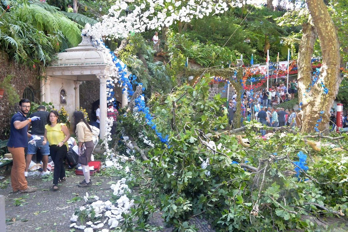 Picture shows the area affected by a tree fell that killed 11 people in Funchal on August 15, 2017. At least 11 people were crushed to death today when a 200-year-old oak tree fell at a religious festival on the Portuguese island of Madeira, local media reported. / AFP / Helder SANTOS