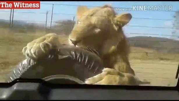 The unnerving incident took place in South Africa. (Photo courtesy: YouTube)