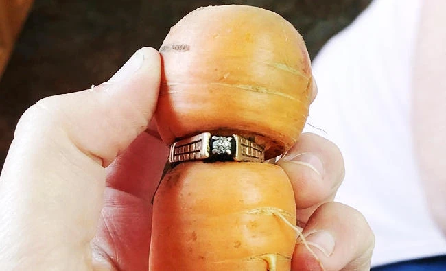 In an undated photo provided by Iva Harberg, Mary Grams, 84, holds a carrot that grew through her engagement ring in Alberta, Canada. (AP)