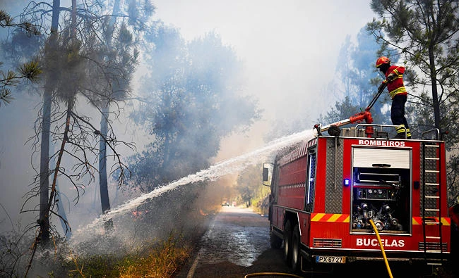 Firefighters tackle a wildfire at Vale Formoso village in Macao on Thursday. (AFP)