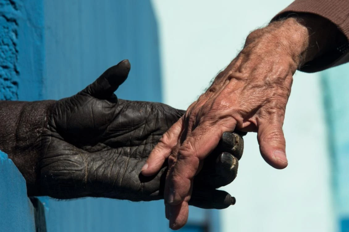 A chimpanzee holds the hands of Pedro Ynterian, President of the Great Apes Project (GAP), at a sanctuary for apes in Sorocaba, some 100km west of Sao Paulo, Brazil, on July 28, 2017. TO GO WITH AFP STORY BY ROSA SULLEIRO / AFP / NELSON ALMEIDA / TO GO WITH AFP STORY BY ROSA SULLEIRO