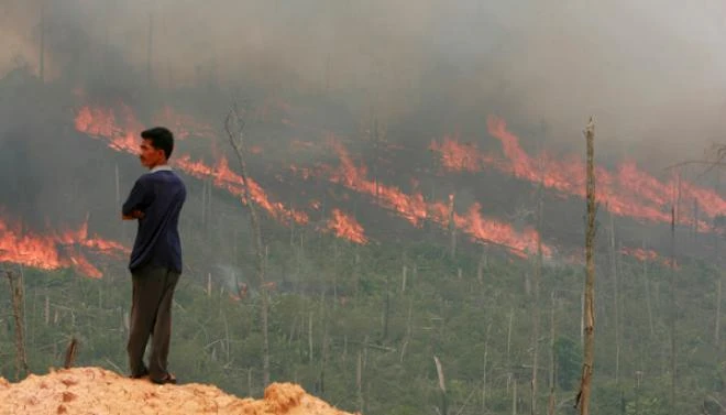 A man is seen looking at the fire that hit Indonesia. (File photo photo by Reuters)