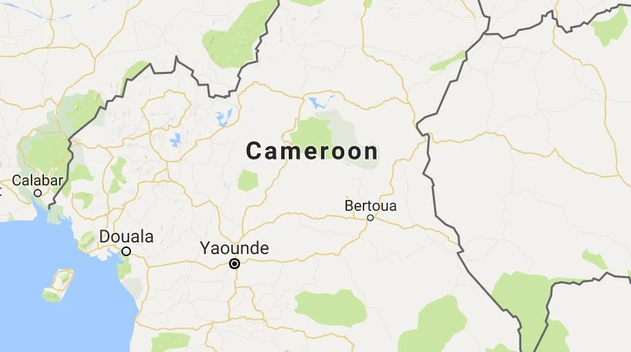 Suicide bomber kills 4 in northern Cameroon