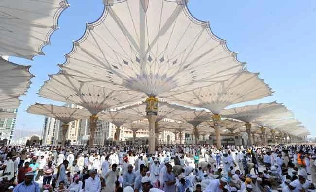 The umbrellas will cover 53x53 meters, making them the largest in the world. (SPA)