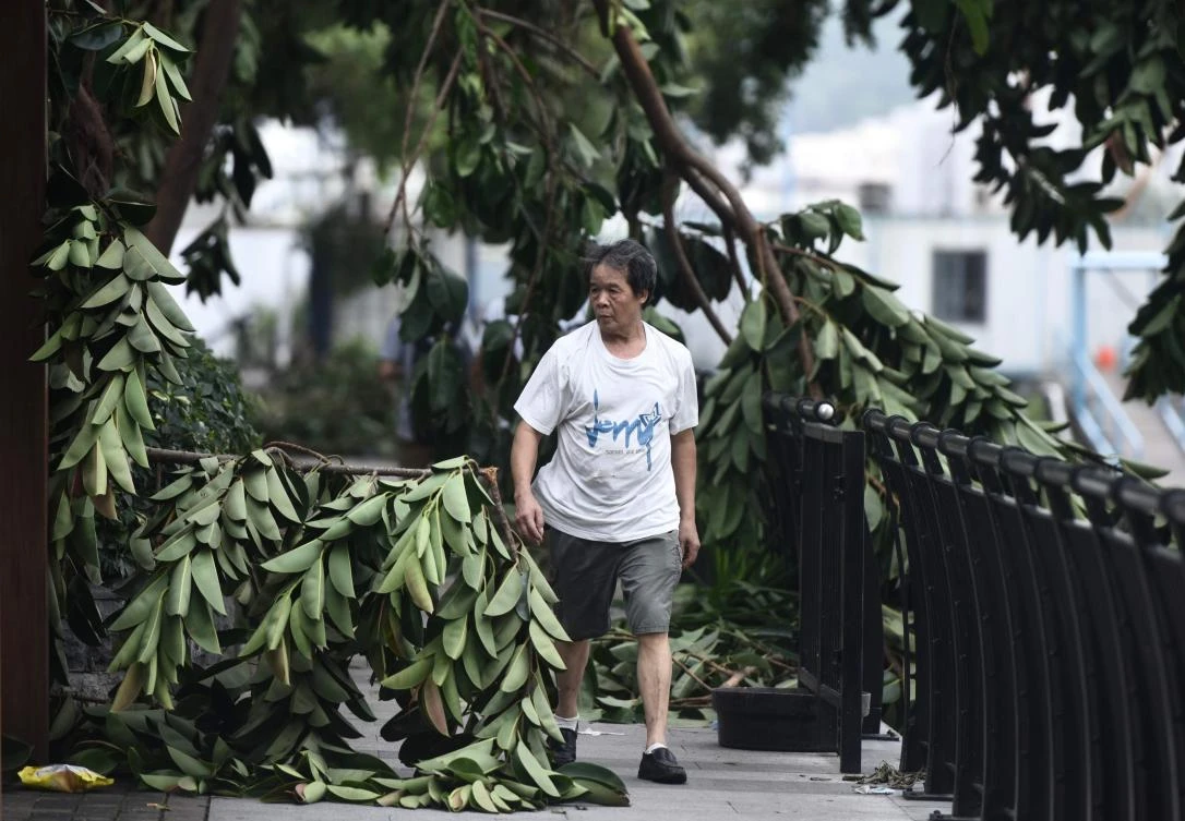 A man walks past a fallen tree in Macau on August 24, 2017. The death toll from Severe Typhoon Hato rose to at least 16 after the storm left a trail of destruction across southern China, blacking out Macau's mega-casinos and battering Hong Kong's skyscrapers. (AFP)