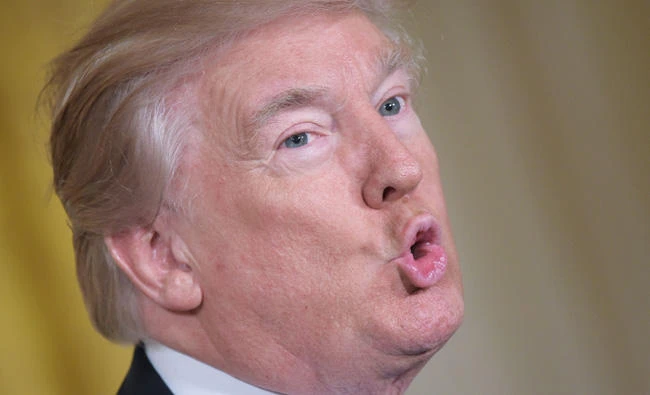 US President Donald Trump. (AFP / MANDEL NGAN)