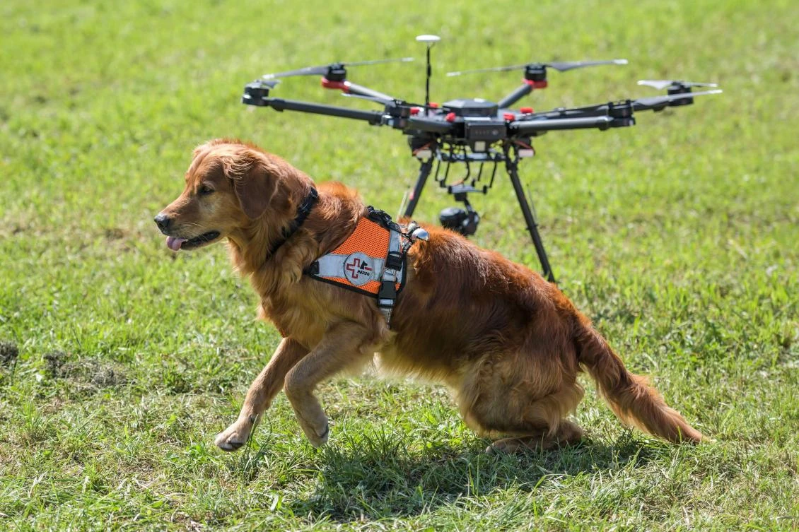 Capo a dog of Swiss disaster dog association Redog sits next to a drone during a press presentation on combined search and rescue with drones and dogs outside Zurich on August 23, 2017. (AFP)