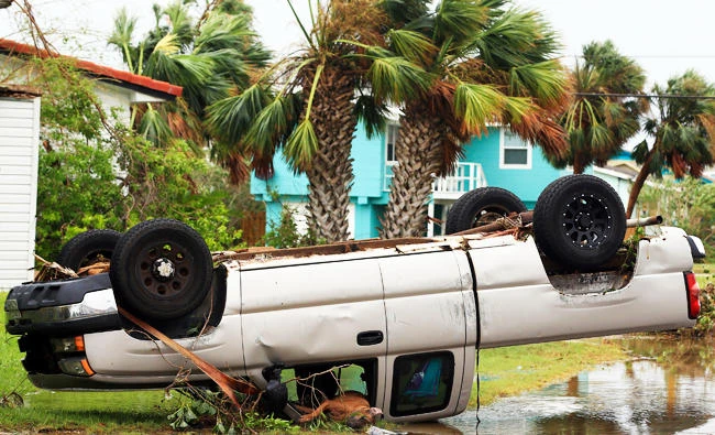 A dead dog lies out of the passenger window of an overturned pickup truck after Hurricane Harvey landed in the Coast Bend area in Port Aransas, Texas, on Saturday. (AP)