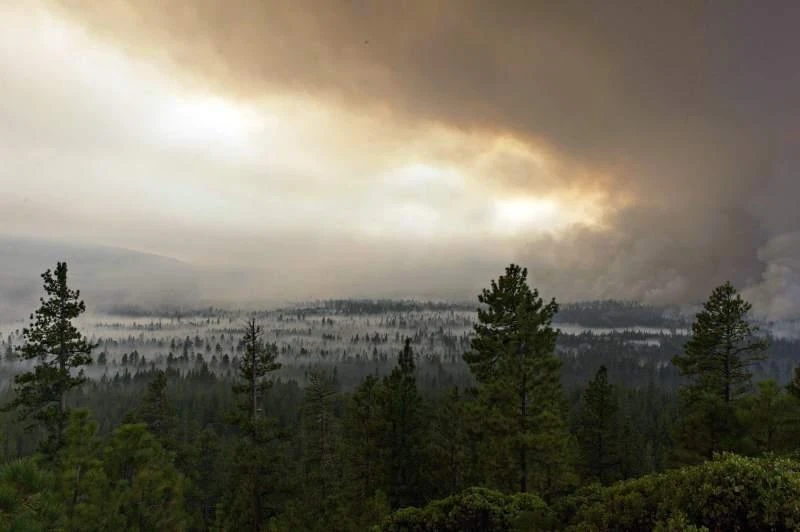 This Aug. 28, 2017, photo provided by Inciweb shows the Milli Fire near Sisters, Ore. The two dozen blazes around the state Wednesday are affecting air quality and have forced the evacuation of more than 4,500 people. (AP)