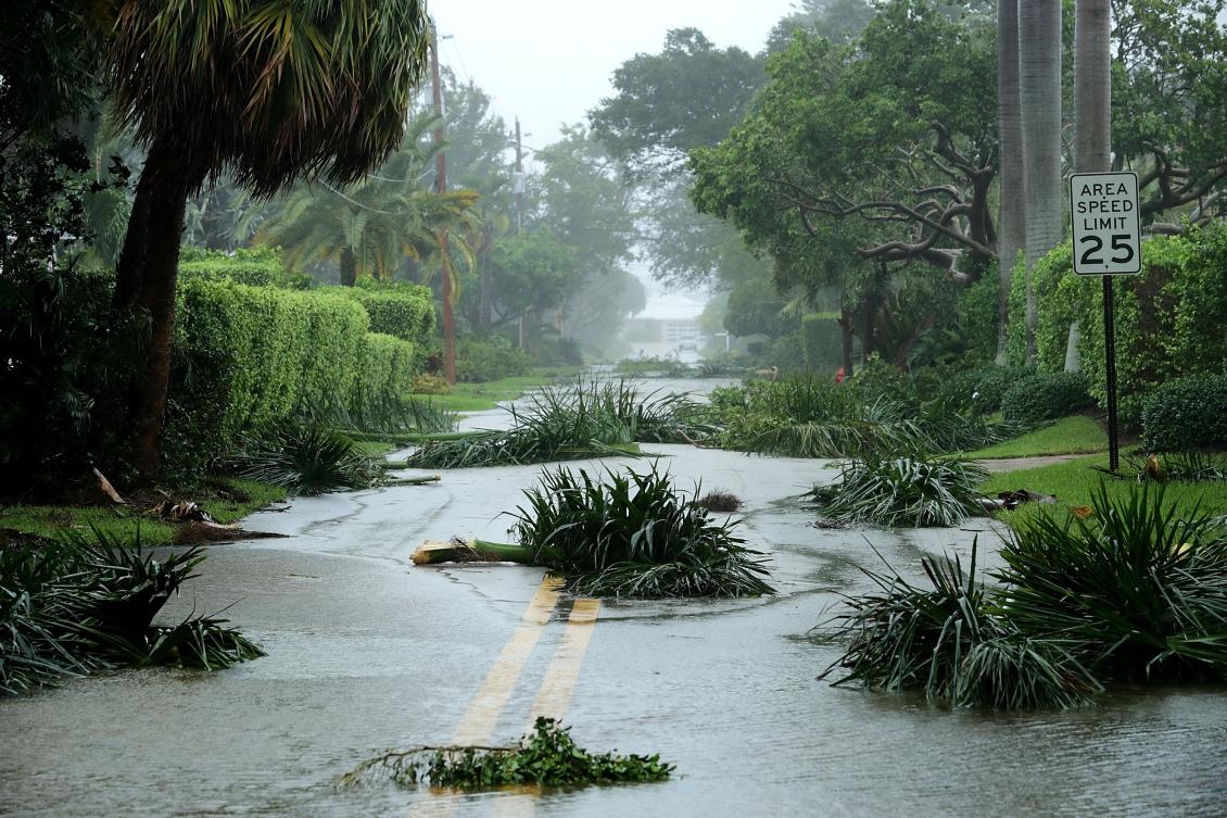 FORT LAUDERDALE, FL - SEPTEMBER 10: Broken tree branches block roads in the Coral Beach neighborhood as Hurricane Irma hits the southern part of the state September 10, 2017 in Fort Lauderdale, Florida. The powerful hurricane made landfall in the United States in the Florida Keys at 9:10 a.m. after raking across the north coast of Cuba. Chip Somodevilla/Getty Images/AFP == FOR NEWSPAPERS, INTERNET, TELCOS & TELEVISION USE ONLY ==