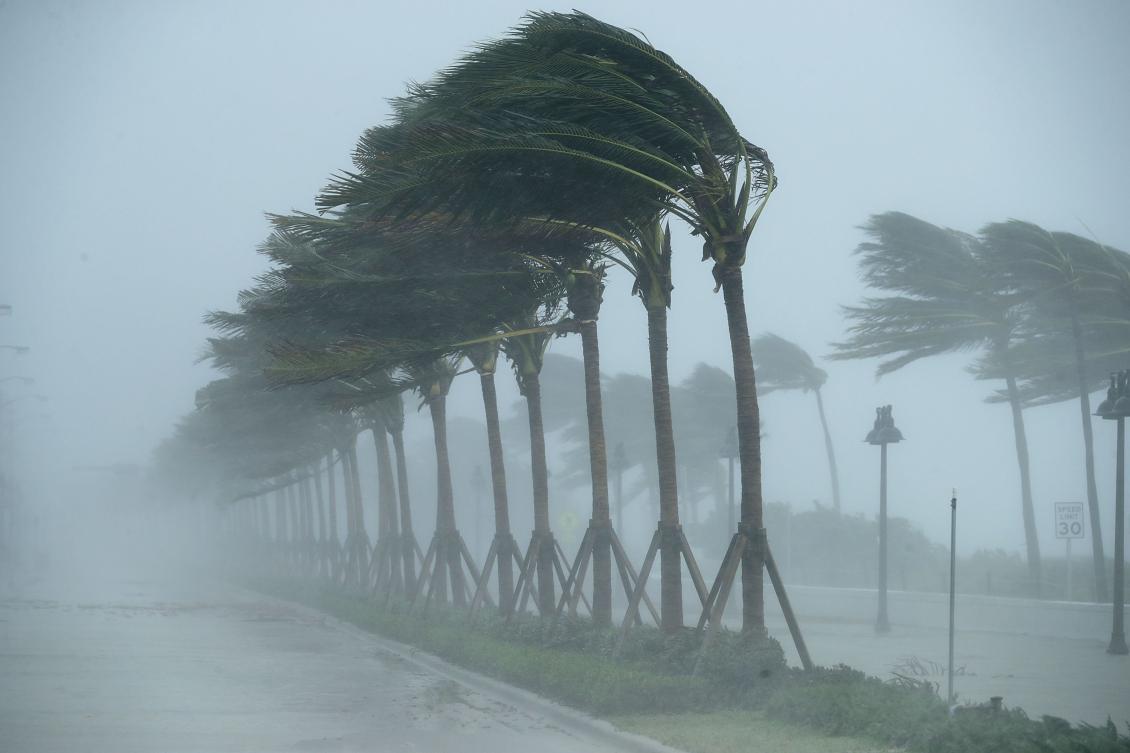 FORT LAUDERDALE, FL - SEPTEMBER 10: Trees bend in the tropical storm wind along North Fort Lauderdale Beach Boulevard as Hurricane Irma hits the southern part of the state September 10, 2017 in Fort Lauderdale, Florida. The powerful hurricane made landfall in the United States in the Florida Keys at 9:10 a.m. after raking across the north coast of Cuba. Chip Somodevilla/Getty Images/AFP == FOR NEWSPAPERS, INTERNET, TELCOS & TELEVISION USE ONLY ==
