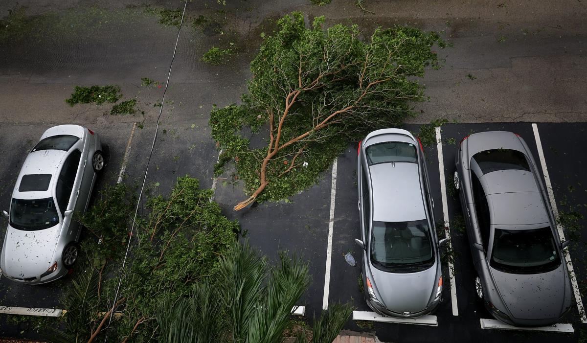 POMPANO BEACH, FL - SEPTEMBER 10: A tree branch felled by tropical storm winds narrowly misses parked cars as Hurricane Irma hits the southern part of the state September 10, 2017 in Pompano Beach, Florida. The Category 4 hurricane made landfall in the United States in the Florida Keys at 9:10 a.m. after raking across the north coast of Cuba. Chip Somodevilla/Getty Images/AFP == FOR NEWSPAPERS, INTERNET, TELCOS & TELEVISION USE ONLY ==