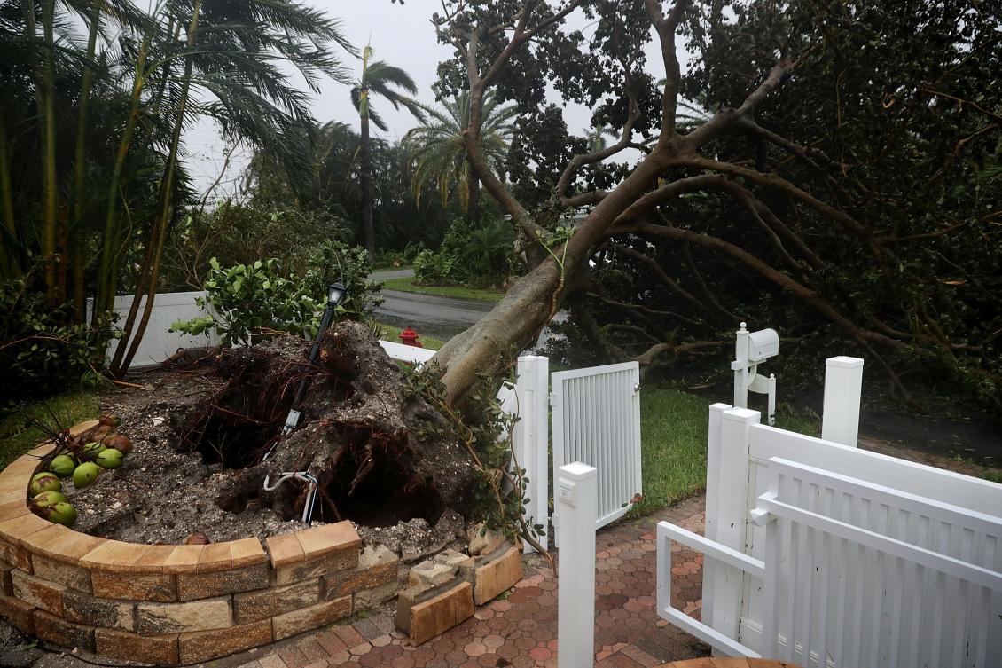 POMPANO BEACH, FL - SEPTEMBER 10: A tree felled by tropical storm winds blocks a street as Hurricane Irma hits the southern part of the state September 10, 2017 in Pompano Beach, Florida. The Category 4 hurricane made landfall in the United States in the Florida Keys at 9:10 a.m. after raking across the north coast of Cuba. Chip Somodevilla/Getty Images/AFP == FOR NEWSPAPERS, INTERNET, TELCOS & TELEVISION USE ONLY ==