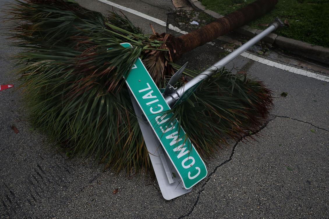 FORT LAUDERDALE, FL - SEPTEMBER 10: A street sign for Commercial Boulevard toppled by tropical storm-strength winds lays next to a fallen palm tree as Hurricane Irma hits the southern part of the state September 10, 2017 in Fort Lauderdale, Florida. The Category 4 hurricane made landfall in the United States in the Florida Keys at 9:10 a.m. after raking across the north coast of Cuba. Chip Somodevilla/Getty Images/AFP == FOR NEWSPAPERS, INTERNET, TELCOS & TELEVISION USE ONLY ==