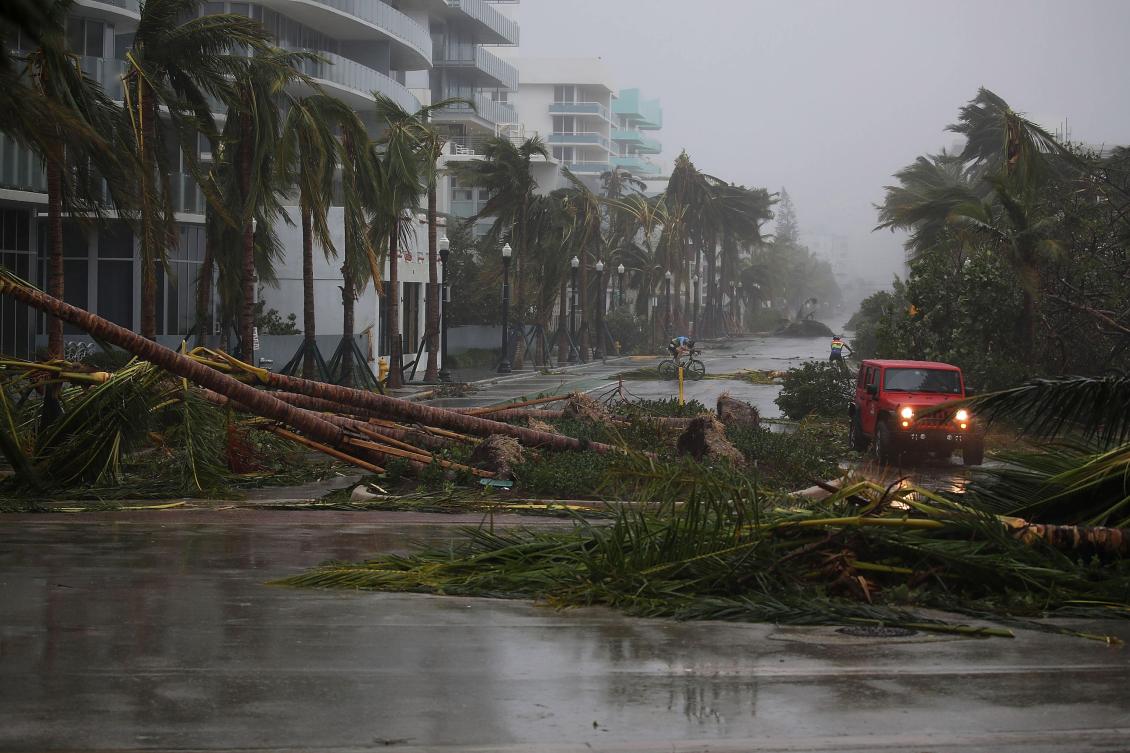MIAMI BEACH, FL - SEPTEMBER 10: A vehicle passes downed palm trees and two cyclists attempt to ride as Hurricane Irma passed through the area on September 10, 2017 in Miami Beach, Florida. Florida is taking a direct hit by the Hurricane which made landfall in the Florida Keys as a Category 4 storm on Sunday, lashing the state with 130 mph winds as it moves up the coast. Joe Raedle/Getty Images/AFP == FOR NEWSPAPERS, INTERNET, TELCOS & TELEVISION USE ONLY ==