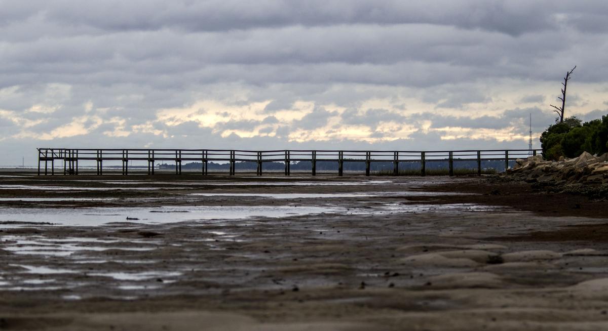 EASTPOINT, FL - SEPTEMBER 10: The counterclockwise circulation of Hurricane Irma pulls the Apalachicola Bay away from land September 10, 2017 near Eastpoint in the Florida panhandle. Hurricane Irma made landfall in the Florida Keys as a Category 4 storm on Sunday, lashing the state with 130 mph winds as it moves up the coast. Mark Wallheiser/Getty Images/AFP == FOR NEWSPAPERS, INTERNET, TELCOS & TELEVISION USE ONLY ==
