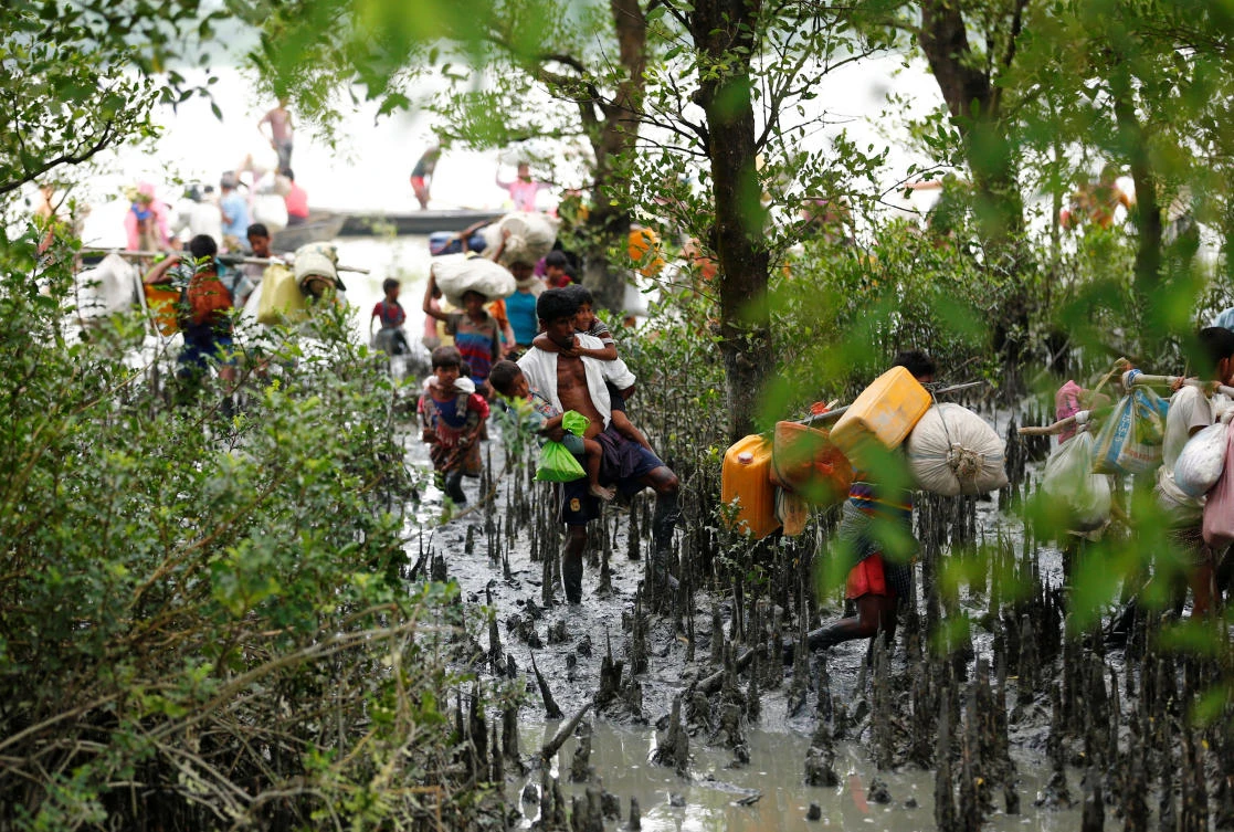 Rohingya refugees walk through mangrove after crossing border by boat through the Naf River in Teknaf, Bangladesh, September 7, 2017.REUTERS/Mohammad Ponir Hossain