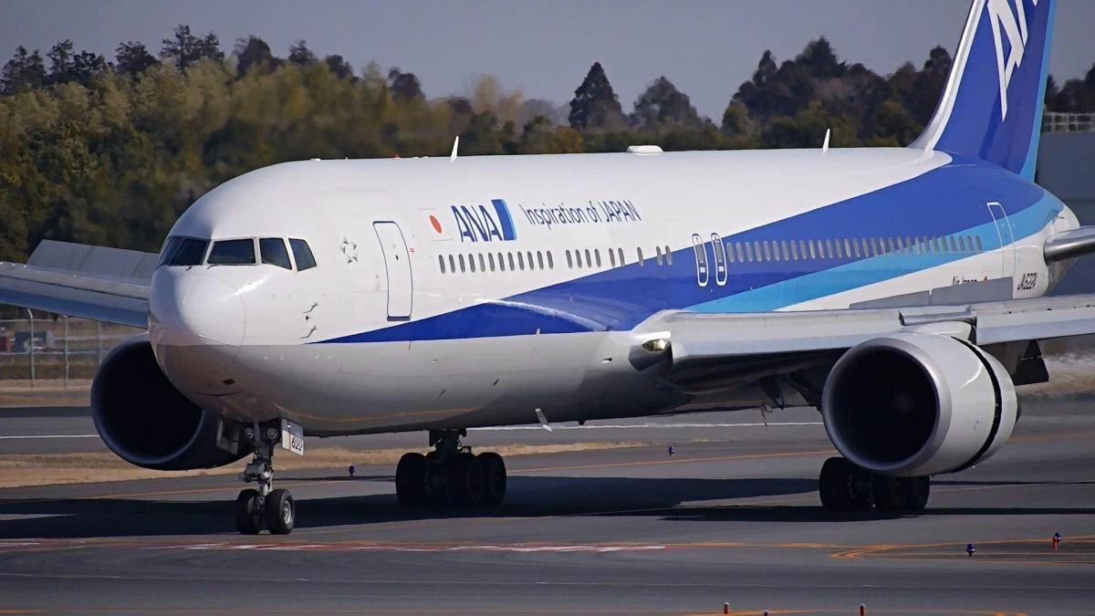 Panel falls from All Nippon Airways aircraft in Japan