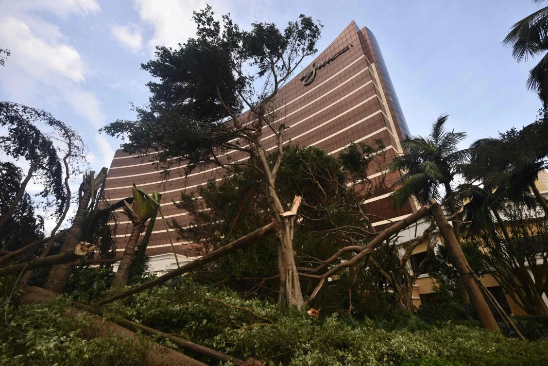 Damaged trees are seen in front of the Wynn Macau resort in Macau on August 24, 2017, after Typhoon Hato hit the territory the day before. The death toll from Severe Typhoon Hato rose to at least 16 on August 24 after the storm left a trail of destruction across southern China, blacking out Macau's mega-casinos and battering Hong Kong's skyscrapers. (AFP)