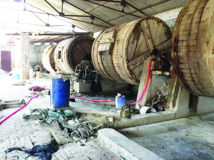 More than 100,000 families are involved in the tannery industry, and 65 percent of them are directly affected by the ban on slaughterhouses and the decree on cattle trade. (AN photo)