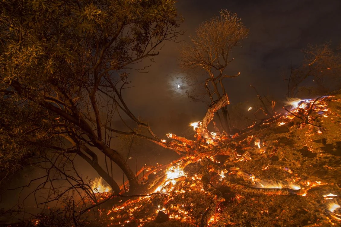 Flames spread on a moonlit night at the La Tuna Fire on September 2, 2017 near Burbank, California. Los Angeles Mayor Eric Garcetti said at a news conference that officials believe the fire, which is at 5,000 acres and growing, is the largest fire ever in L.A. People have been evacuated from hundreds of homes in Sun Valley, Burbank and Glendale. About 100 Los Angles firefighters are expected to return soon from Texas, where they've been helping survivors from Hurricane Harvey.(AFP)