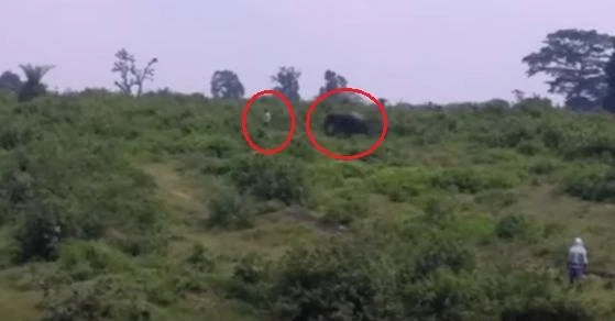 Asok Bharti (L) tries to outrun a charging elephant (R) moments before tripping and being trampled on (YouTube)