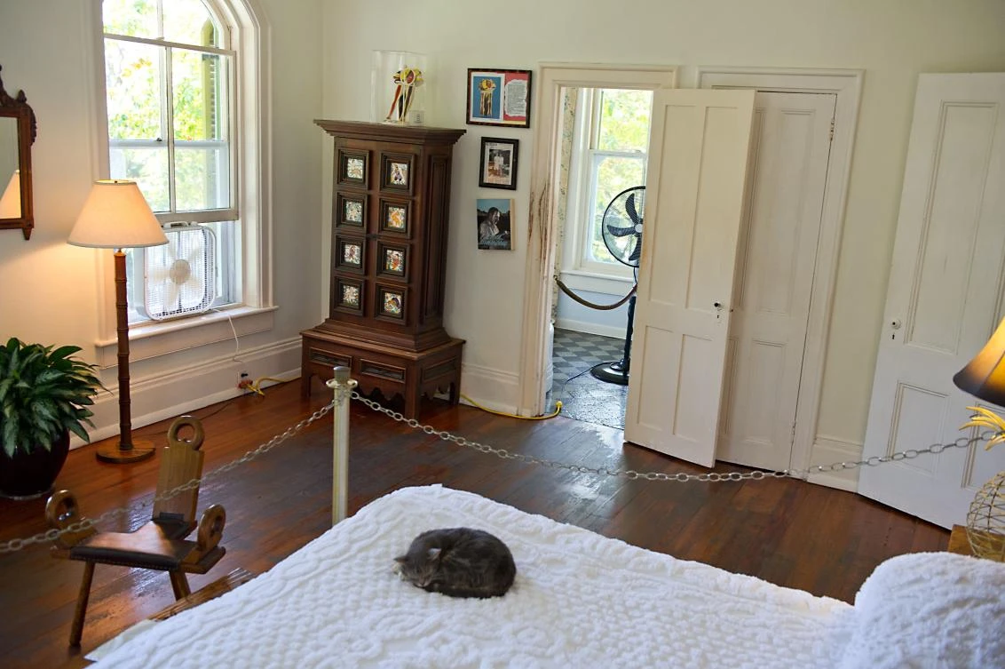 This file photo shows a cat sleeping on the bed at the home and museum of author Ernest Hemingway in Key West, Florida, on February 18, 2013. (File photo by AFP)