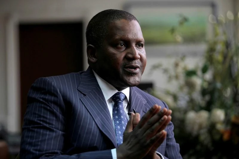 Africa’s richest man Aliko Dangote has joined the race to buy South African cement maker PPC. (Reuters)