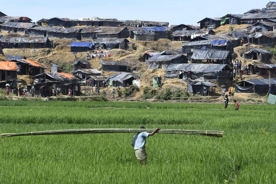 A man carries bamboo sticks in a field next to Bangladesh’s Balukhali refugee camp for displaced Rohingyas on September 15, 2017. (File photo by AFP)