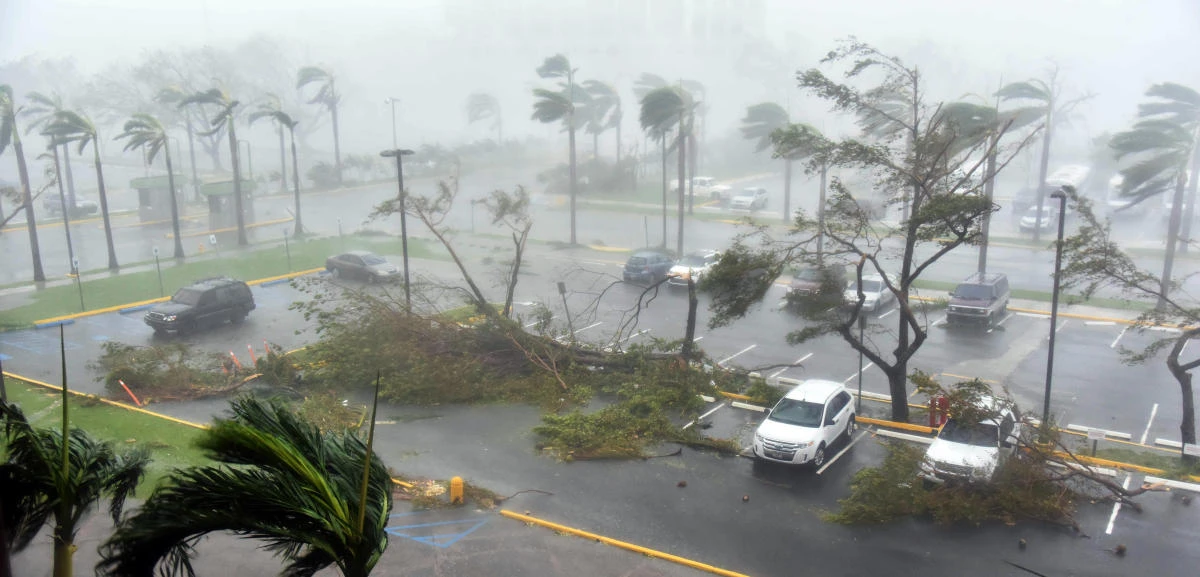Trees are toppled in a parking lot at Roberto Clemente Coliseum in San Juan, Puerto Rico, on Wednesday, during the passage of the Hurricane Maria. (AFP)