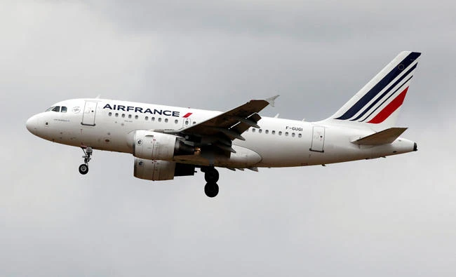 An Air France Airbus A318 aircraft lands at the Charles de Gaulle International Airport in Roissy, near Paris,in this July 28, 2017 photo. (REUTERS)