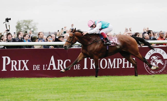 Jockey Frankie Dettori , on his horse Enable, races to win the 96th Prix de l'Arc de Triomphe horse race at the Chantilly racecourse, north of Paris on Sunday. (AFP)