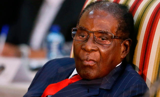 Mugabe back in S. Africa after wife evaded assault claim