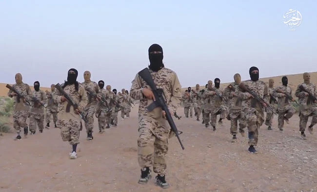 Fleeing offensives, where are the militants going?