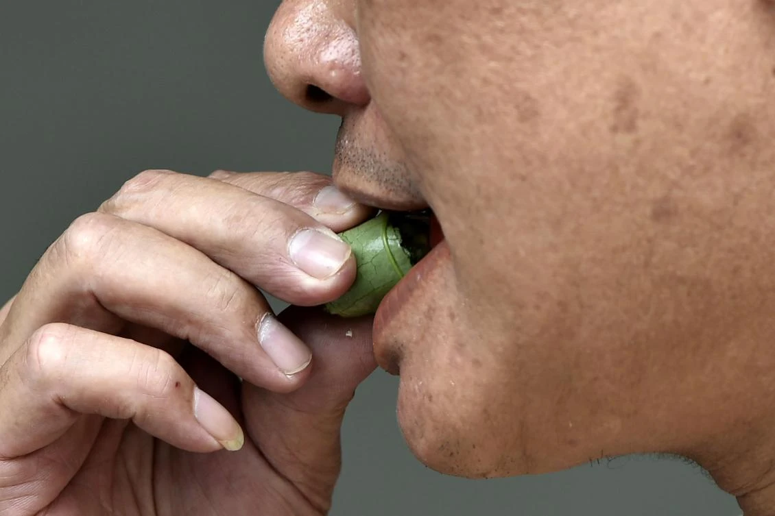 Above, a man eats betel nuts in Nantou City of central Taiwan. The chance of a betel nut user developing oral cancer is 28 times the average person, according to the Taiwanese health ministry. (AFP)