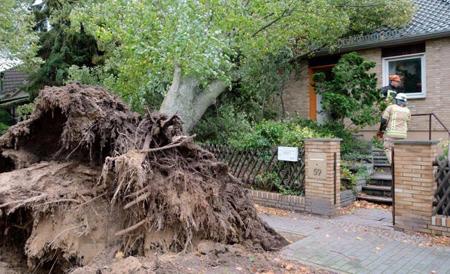 Firemen are pictured beside a fallen tree beside a house in Berlin on October 5, 2017, after strong winds lashed the capital. Torrential rain and gusts of winds are expected to hit north and east Germany, rising to hurricane force in cities such as Bremen, Hamburg and Berlin. (AFP / dpa / Jens Dudziak)