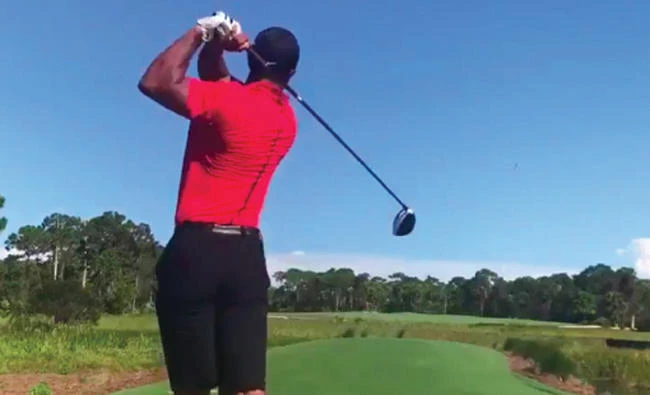 Tiger Woods