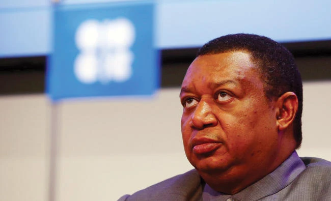 OPEC Secretary-General Mohammed Barkindo addresses a news conference in Vienna, Austria, on Oct. 24, 2016. (Reuters)