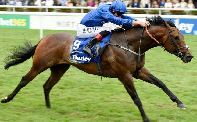 The UAE-owned Harry Angel, the world’s best sprinter, goes in the Sprint Stakes at Ascot. (AFP)