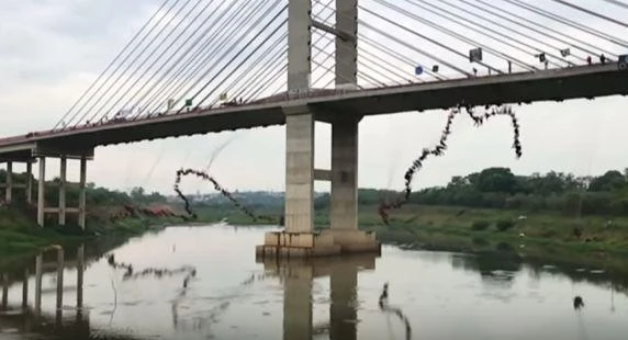 245 people jump off a bridge in unison (YouTube)