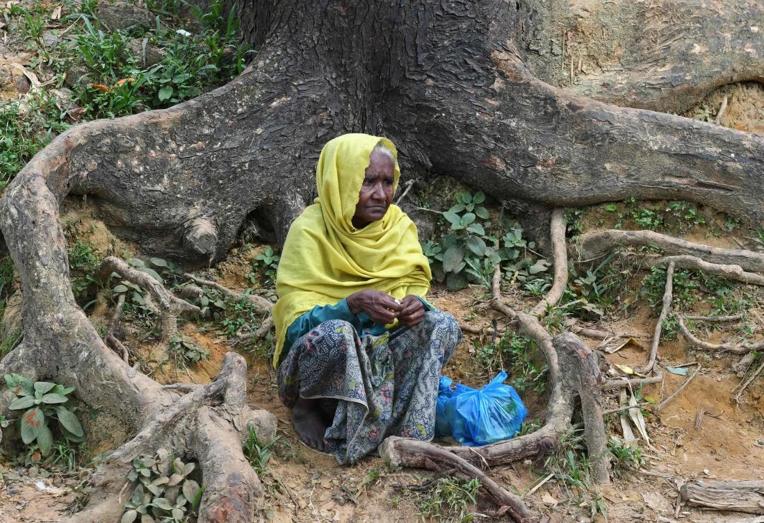 Bangladesh eyes sterilization to curb Rohingya population