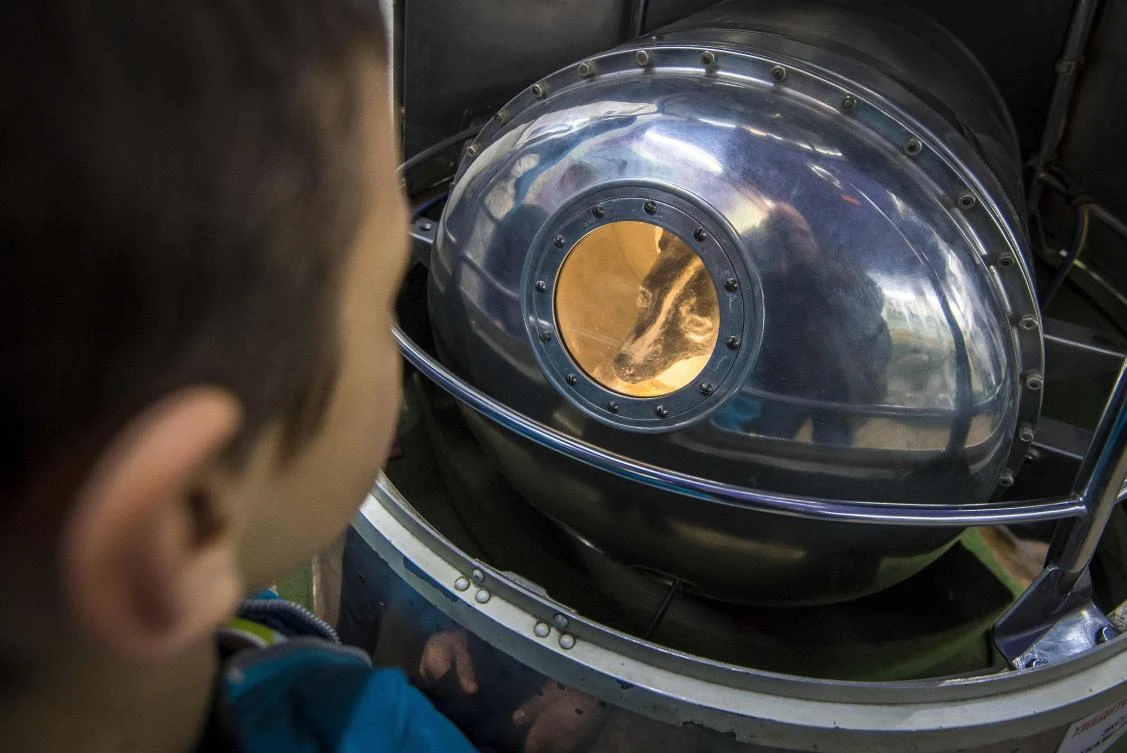 Above, an effigy of the dog Laika, the first living creature in space, inside a replica of satellite Sputnik II at the Central House of Aviation and Cosmonautics in Moscow. (AFP)