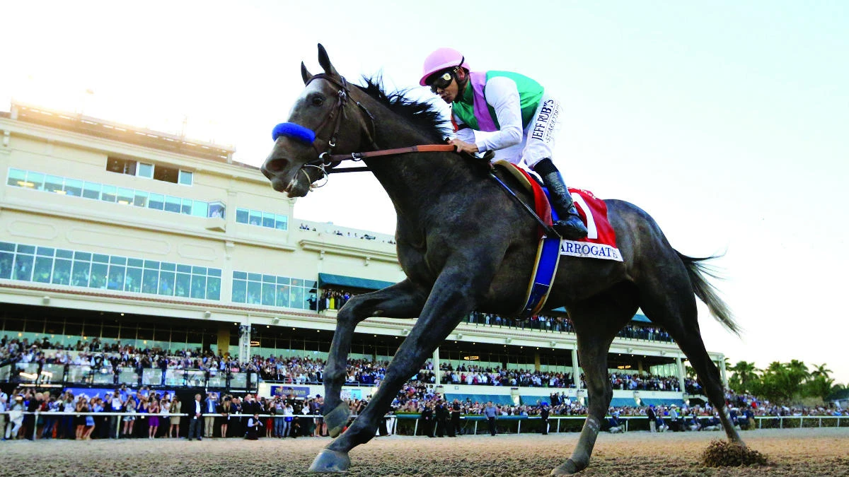 Arrogate is looking to get back to winning ways. (AP)